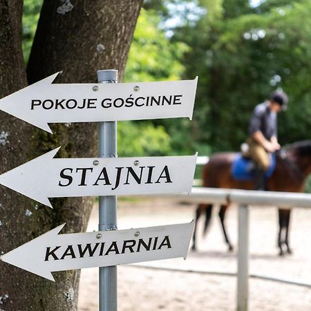 Pokoje Goscinne Cheval Kraków Eksteriør billede