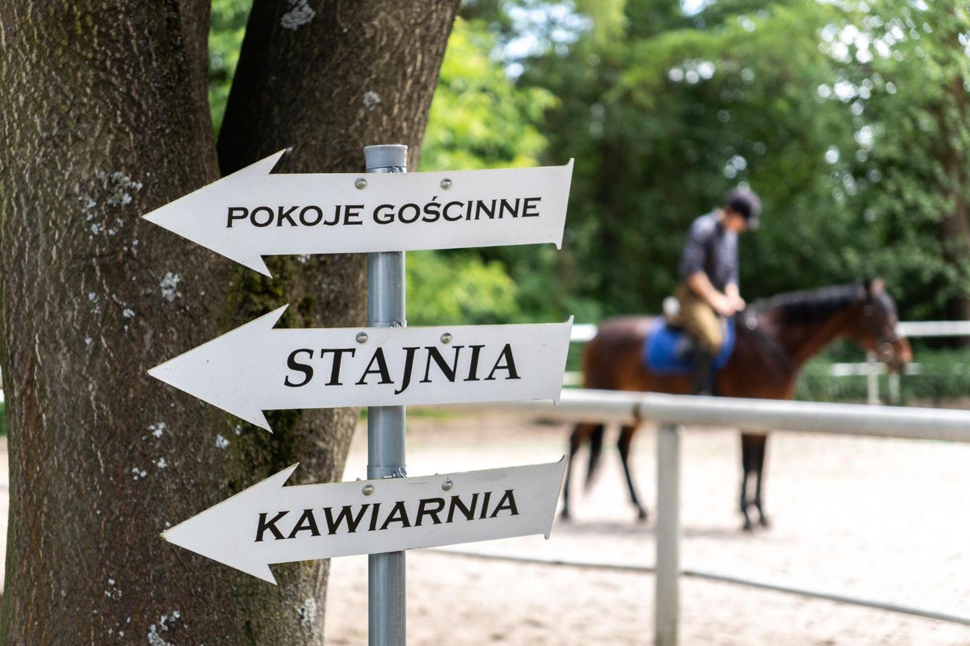 Pokoje Goscinne Cheval Kraków Eksteriør billede